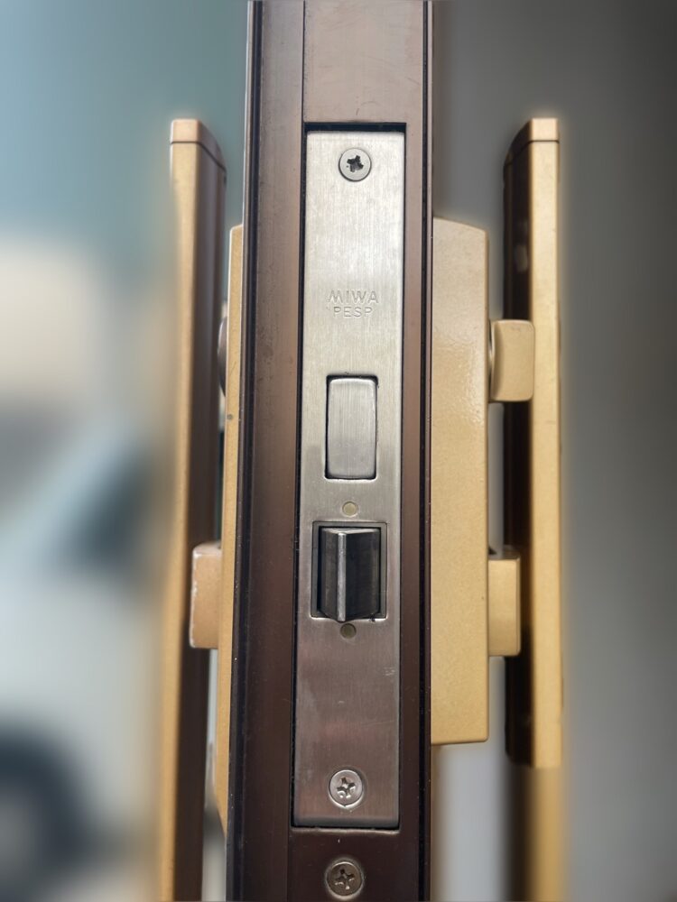 SHINNIKKEI Rever PESP