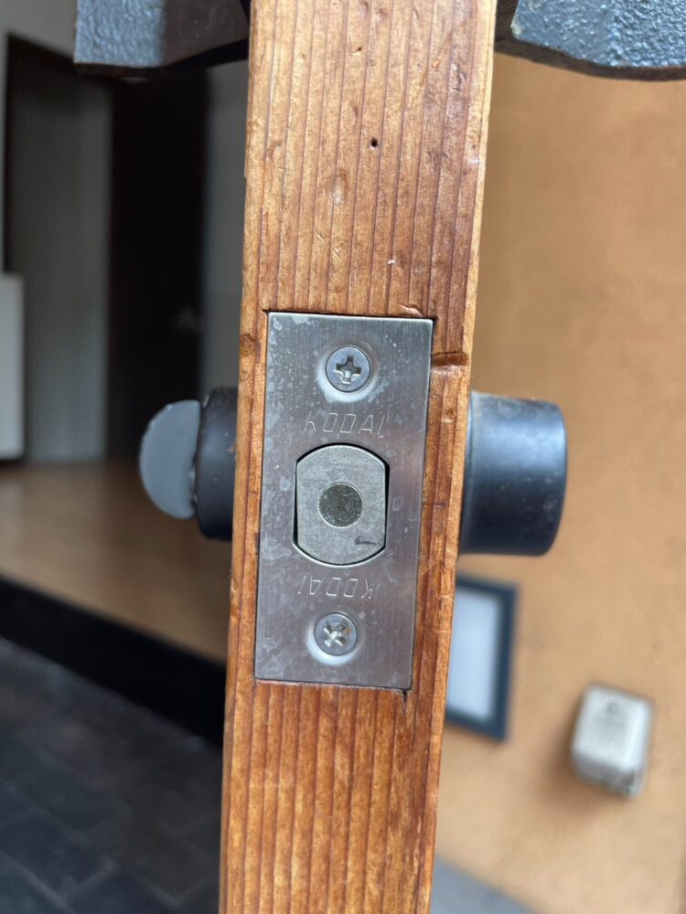 KODAI　側面　チューブラ