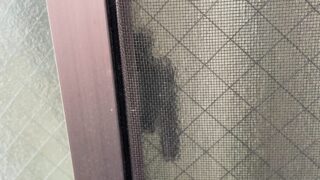 LIXIL リクシル S型ハンドルスマートキー　開錠作業【東京都葛飾区】　